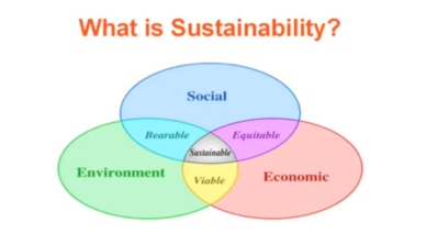 Inclusive sustainability - slide used by Gabriel D'arcy, Monaghan Co-op